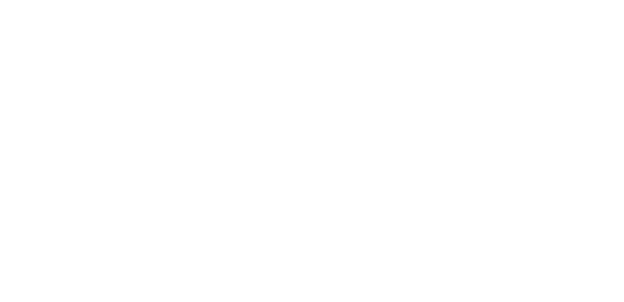 PDG