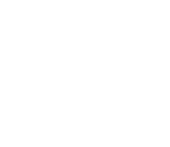 THE ONE · 1 Queens Bridge